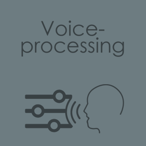 Voice Processing